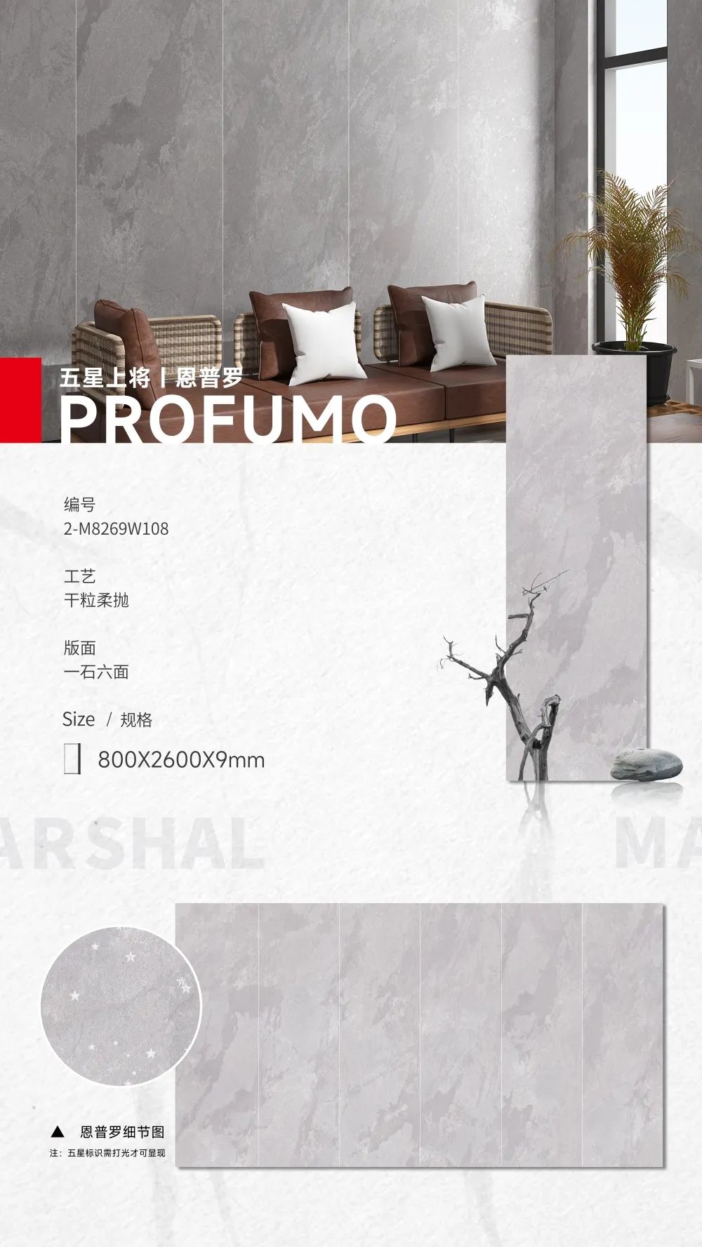 五星上將| 超級IP產(chǎn)品，打造理想生活樣本(圖7)